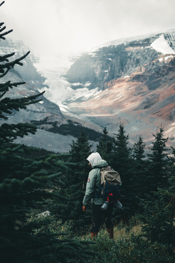 A traveler in a green jacket hikes through lush forests with towering mountains in the background.
