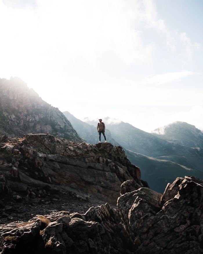 pexels photo 18616759.jpeg