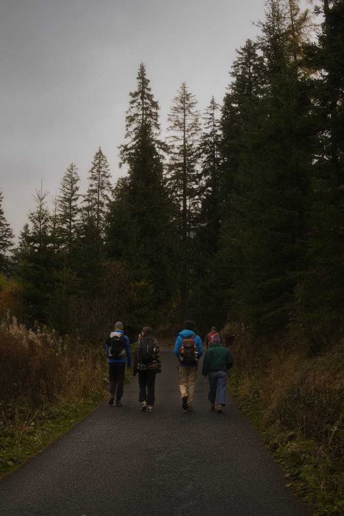 pexels photo 34833531.jpeg